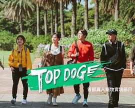 抖阴APP导航《TOP DOG》免费在线观看