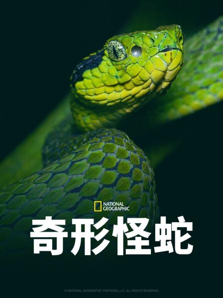 抖阴漫画《奇形怪蛇》免费在线观看